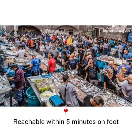 La Casa Di Frida Katánie